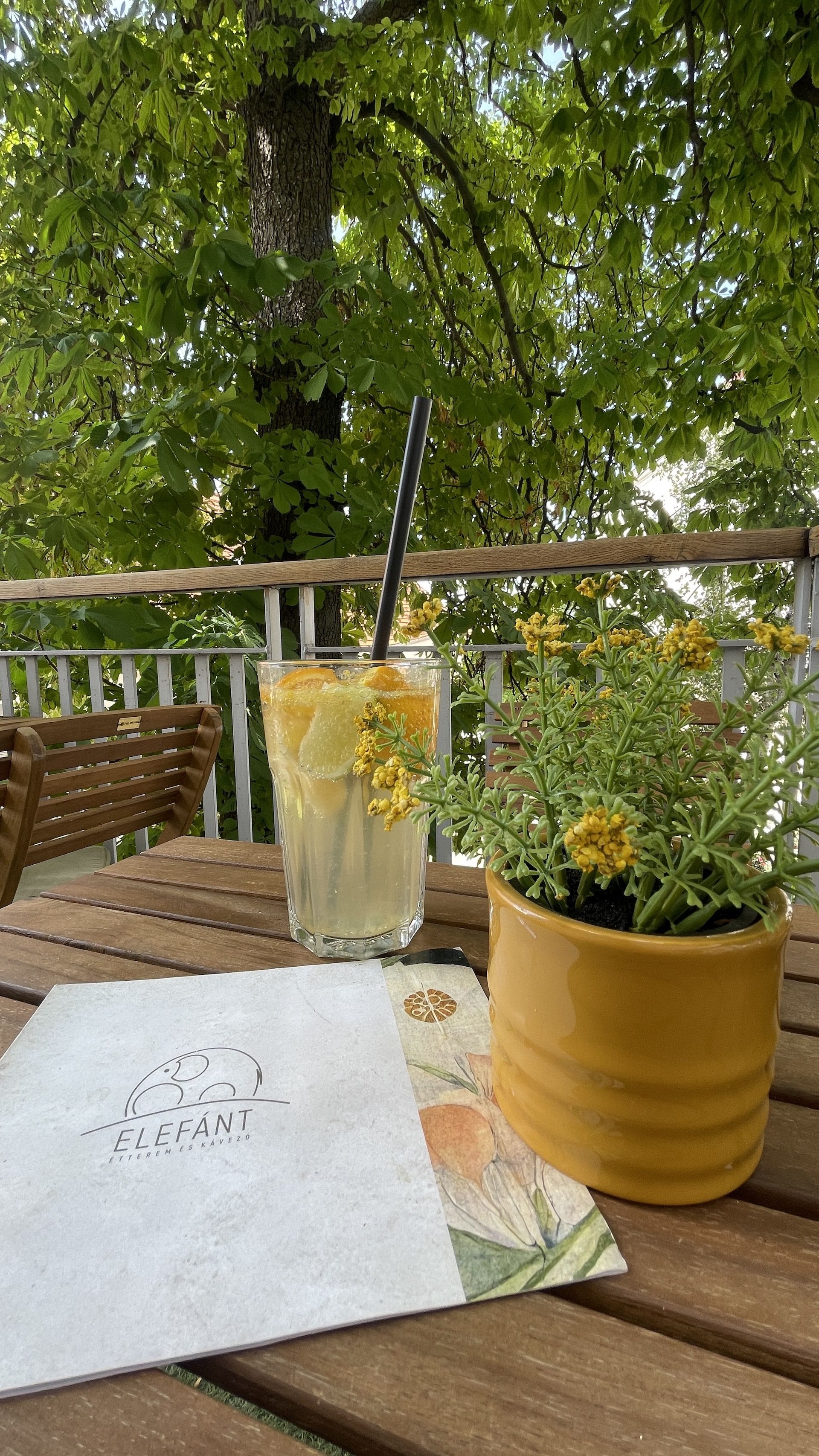 ELEFÁNT Étterem